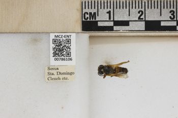 Media type: image;   Entomology 786106 Aspect: Labels